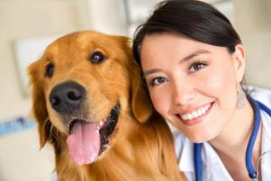 veterinarian_seeing_a_dog